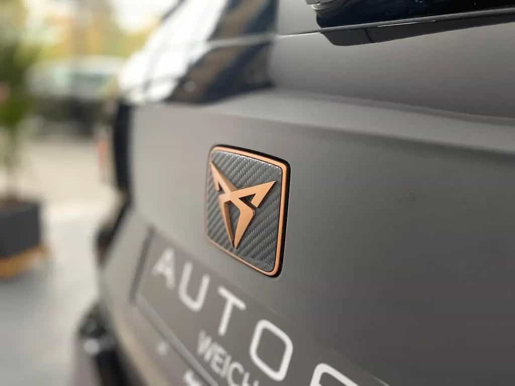 Cupra Ateca VZ 2.0TSI 4Drive Kamera 360° LM19 LED 06/2023-photo-23