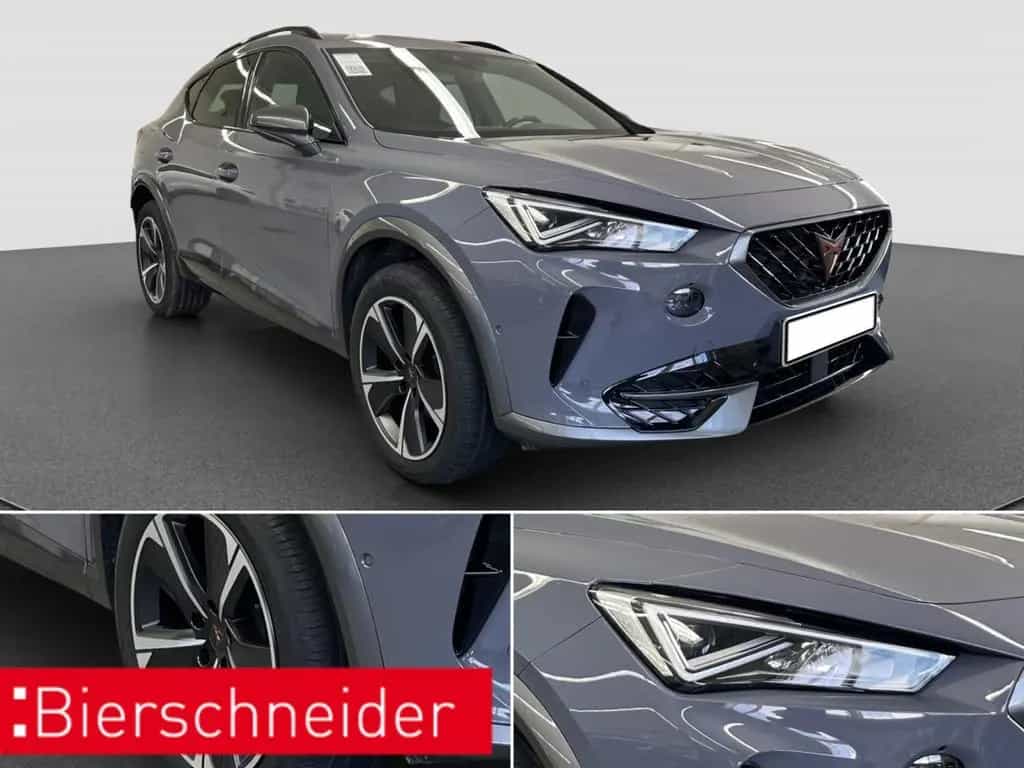 Cupra Formentor 1.5 TSI DSG AB280EUR AHK NAVI REAR VIE 10/2022-photo-10