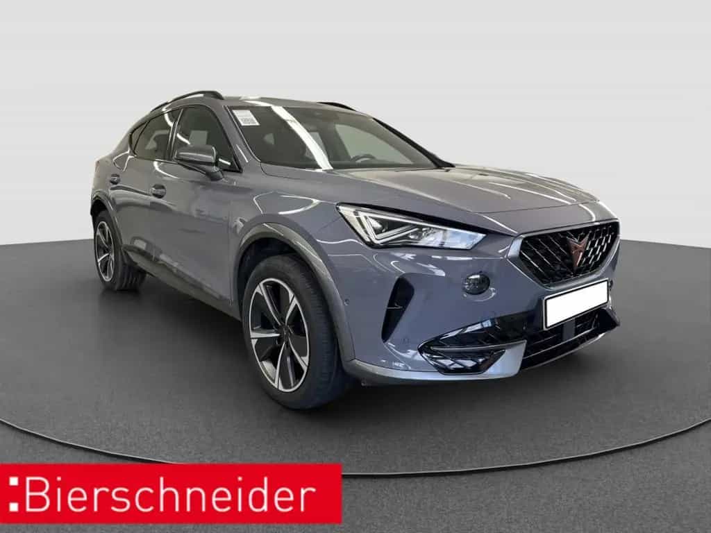Cupra Formentor 1.5 TSI DSG AB280EUR AHK NAVI REAR VIE 10/2022-photo-9