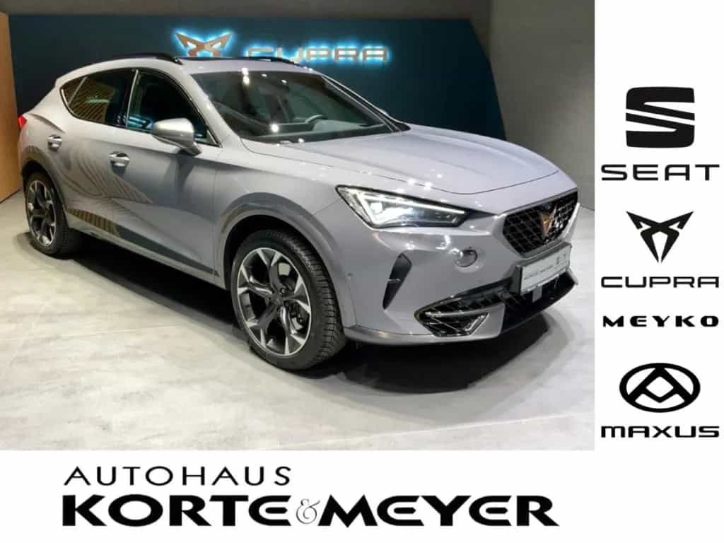 Cupra Formentor VZ 2.0TSI DSG 4Drive+ACC +Matrix-LED 02/2024-photo-0