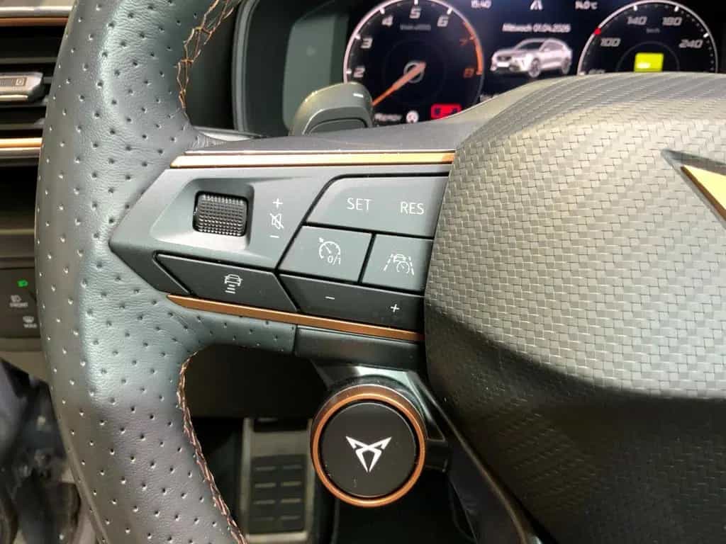 Cupra Formentor VZ 2.0TSI DSG 4Drive+ACC +Matrix-LED 02/2024-photo-18