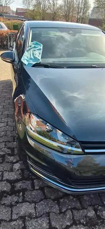 Volkswagen VW Golf 7 Allstar 1.4 TSI 150 PS/schwarz/G... 10/2016-photo-5