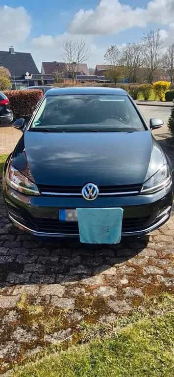 Volkswagen VW Golf 7 Allstar 1.4 TSI 150 PS/schwarz/G... 10/2016-photo-6