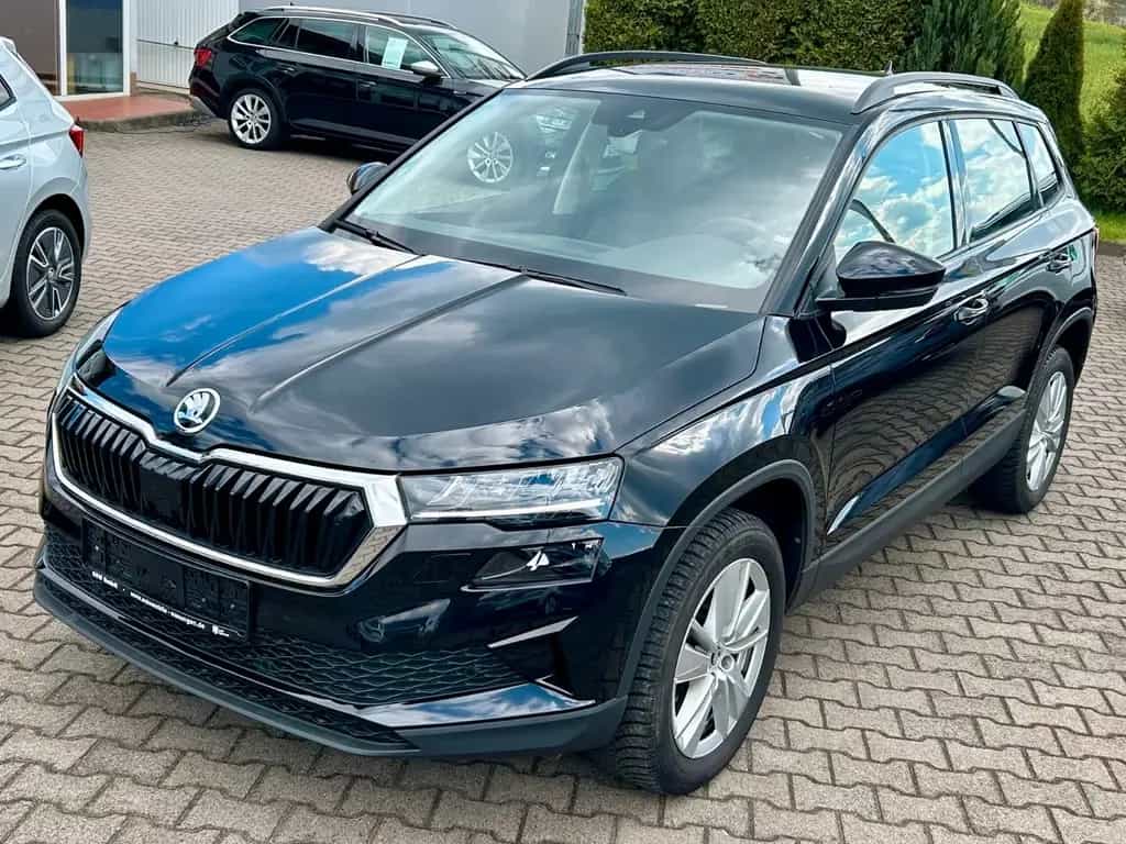 Skoda Karoq Selection DSG DplBoden ElektrHeck Kamera 06/2024-photo-0