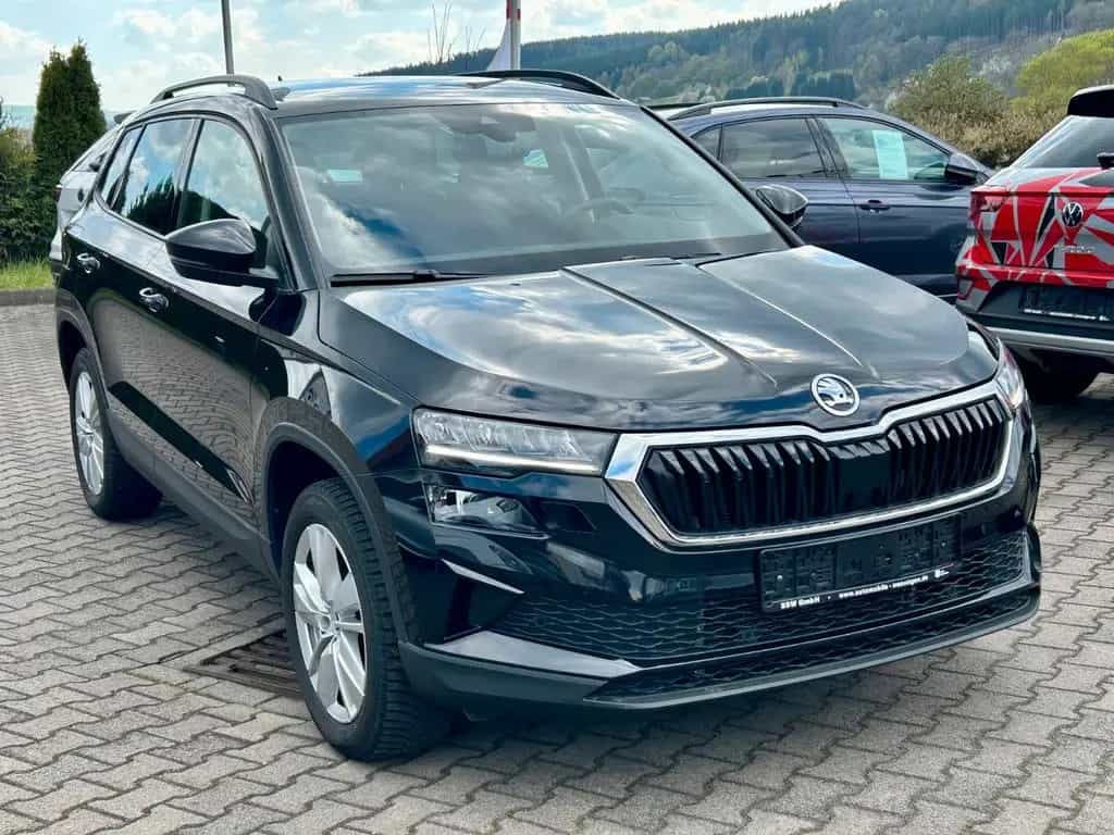 Skoda Karoq Selection DSG DplBoden ElektrHeck Kamera 06/2024-photo-1