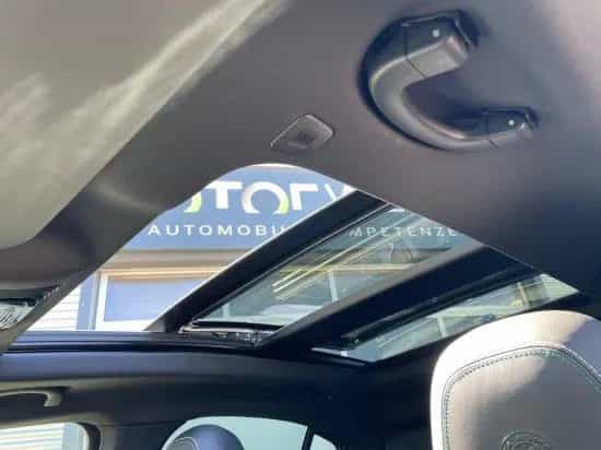 Alfa Romeo Stelvio 2.9 V6 Bi.T Q.foglio Q4 OPF (EU 6d-T) 08/2019-photo-12