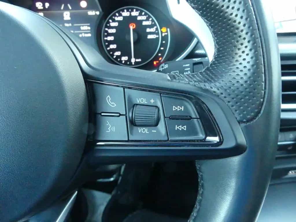 Alfa Romeo Stelvio VELOCE 2.0 TURBO Q4 PANO KAMERA XENON AL 12/2021-photo-20