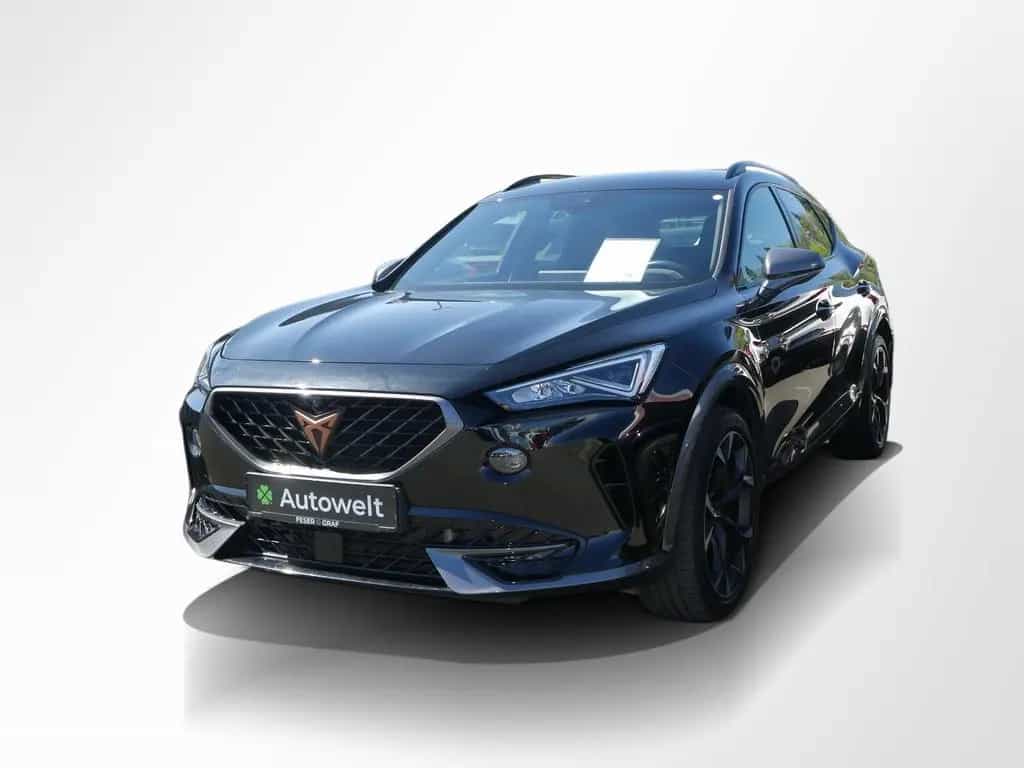 Cupra Formentor VZ 2.0 TSI 228kW - NAVI,AKRA,ACC,BEATS 03/2024-photo-10