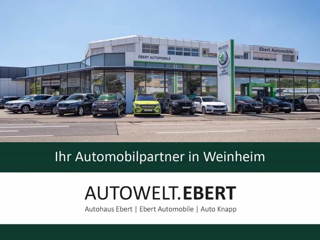 Skoda Karoq 1.5 TSI DSG ACT Style/LED/AHK/KAMERA/ACC/ 01/2019-photo-16