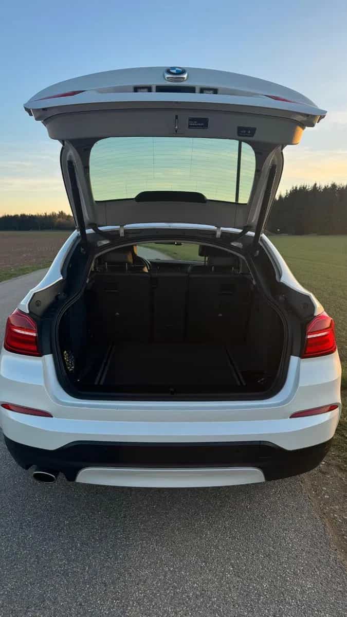 BMW X4 09/2016-photo-7