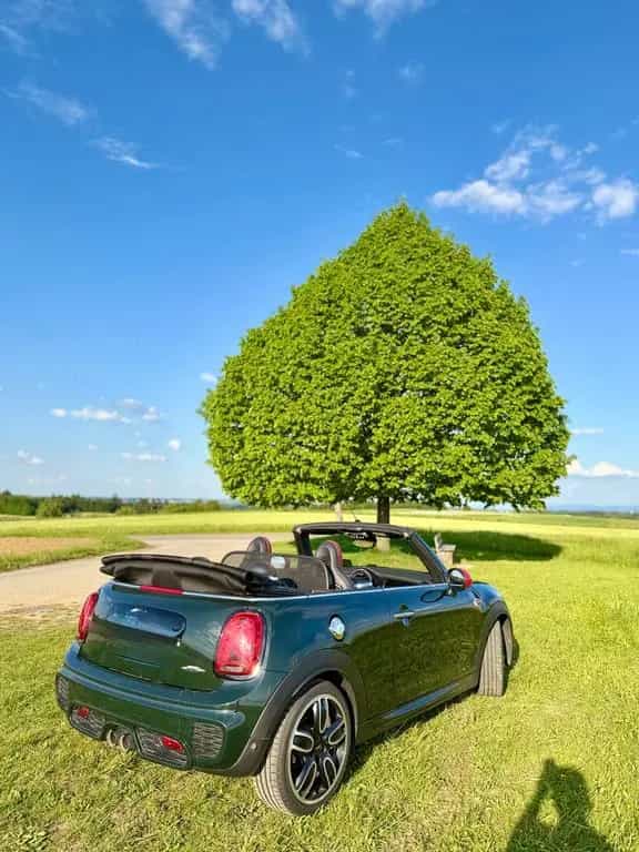 MINI John Cooper Works Cabrio +Rebel Green+Voll 03/2019-photo-5