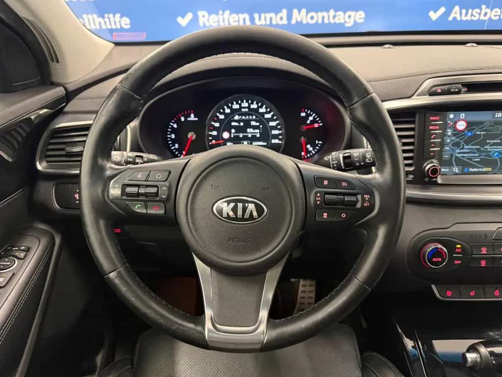 Kia Sorento Platinum Edition 2.2d 4WD ACC 360° 05/2017-photo-17