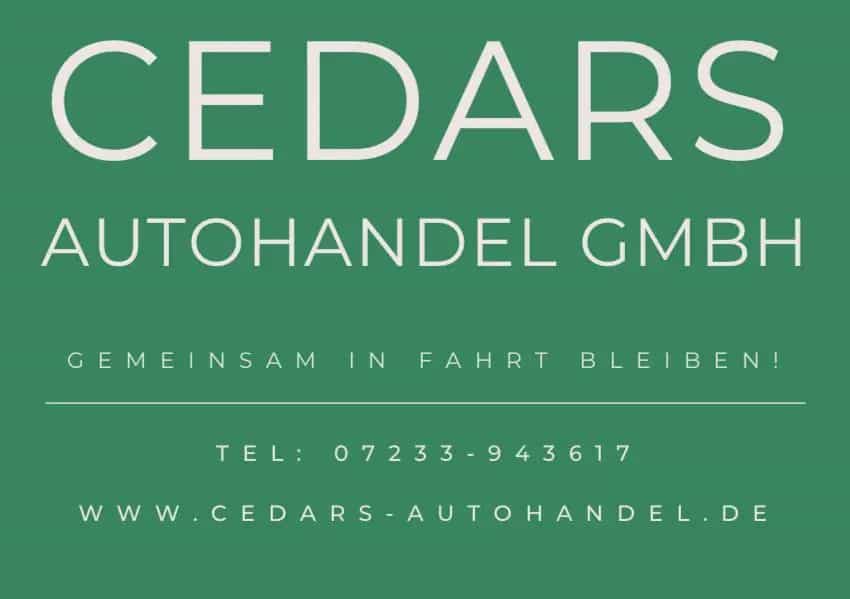Ford Focus Active Vignale LED ACC HUD Navi Kam Pano 06/2020-photo-41