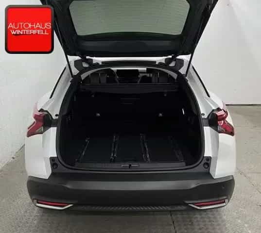 Citroën C5 X PureTech 130 EAT8 PLUS SITZHEIZUNG+KAMERA+ 08/2024-photo-30