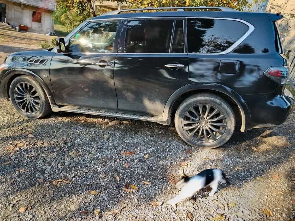 Infiniti QX80 LIMITED 04/2016-photo-4