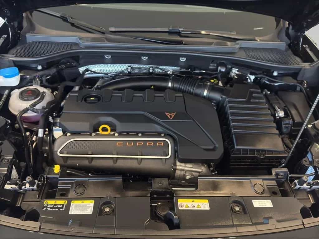 Cupra Formentor VZ5 2.5 TSI DSG *360°*MATRIX*NAVI*PANO null-photo-17