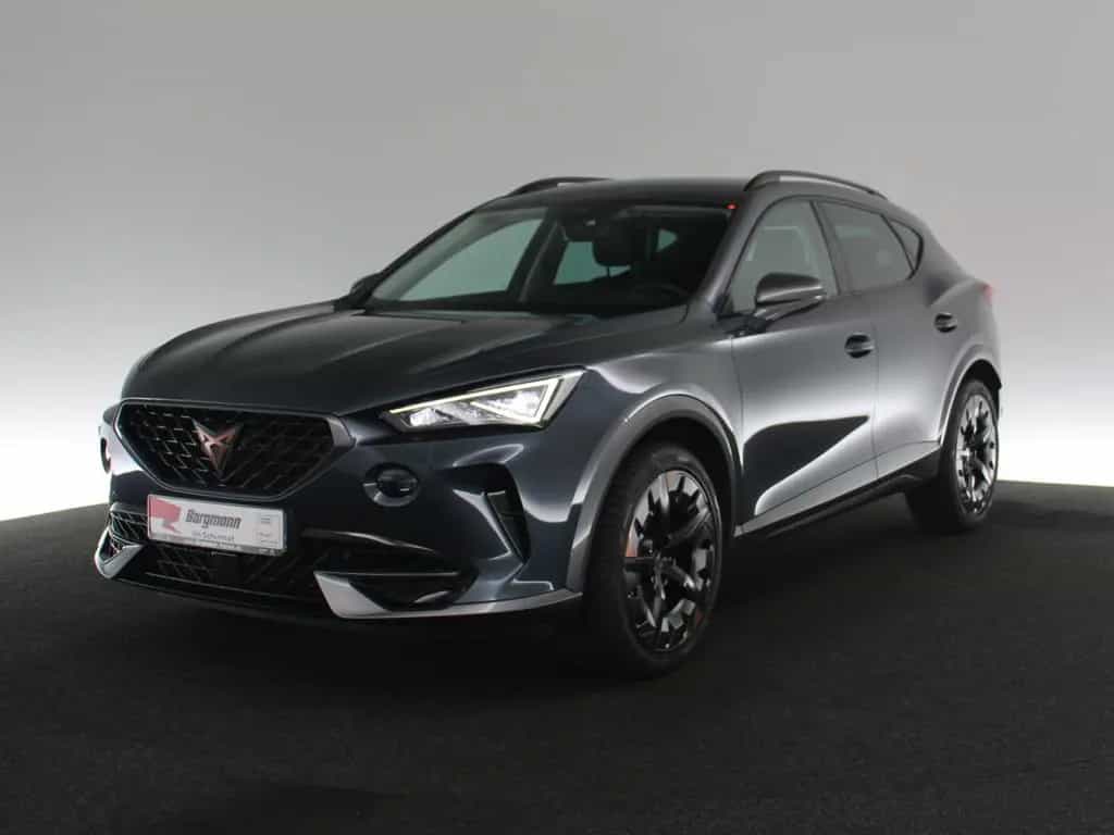 Cupra Formentor 2.0 TSI 4Drive LED STANDHZ ACC NAVI 07/2022-photo-1