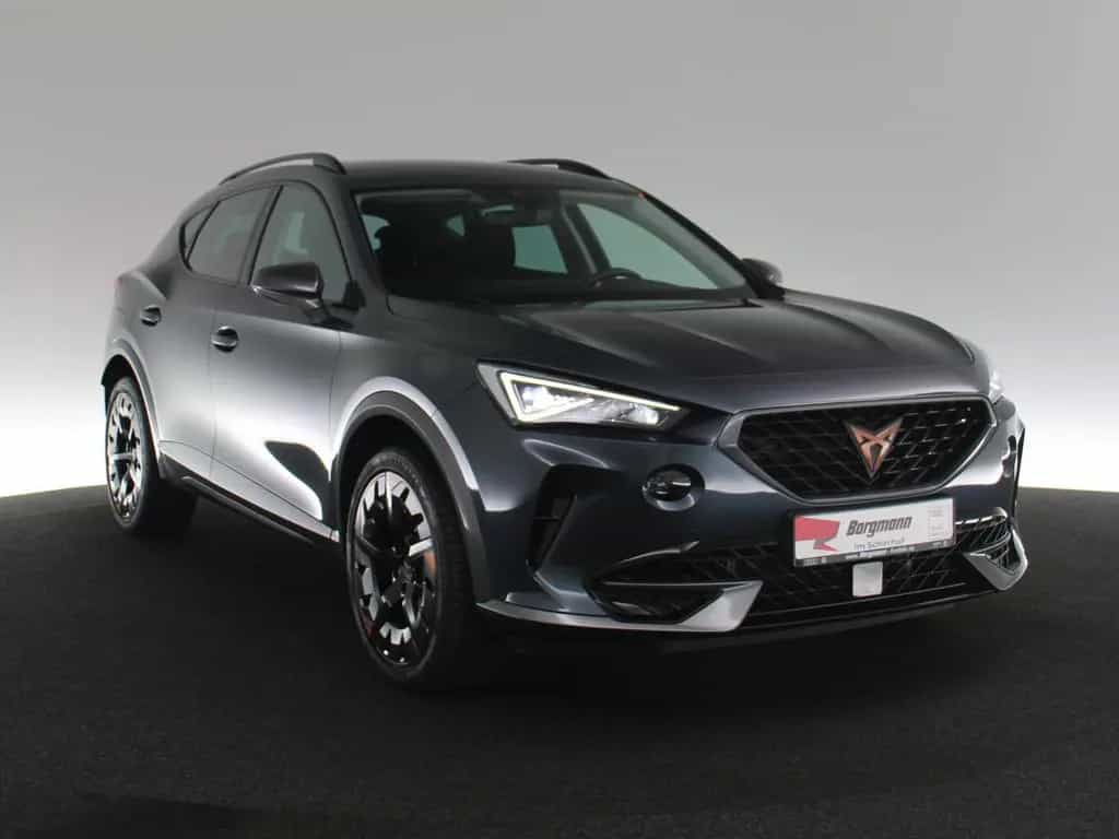 Cupra Formentor 2.0 TSI 4Drive LED STANDHZ ACC NAVI 07/2022-photo-2