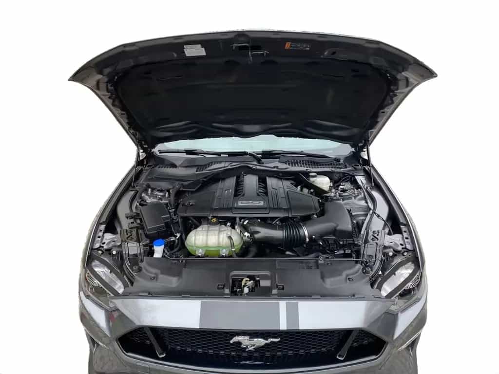 Ford Mustang GT 5.0 Navi RFK RDK Dig.Cockpit LED PDC 01/2022-photo-10