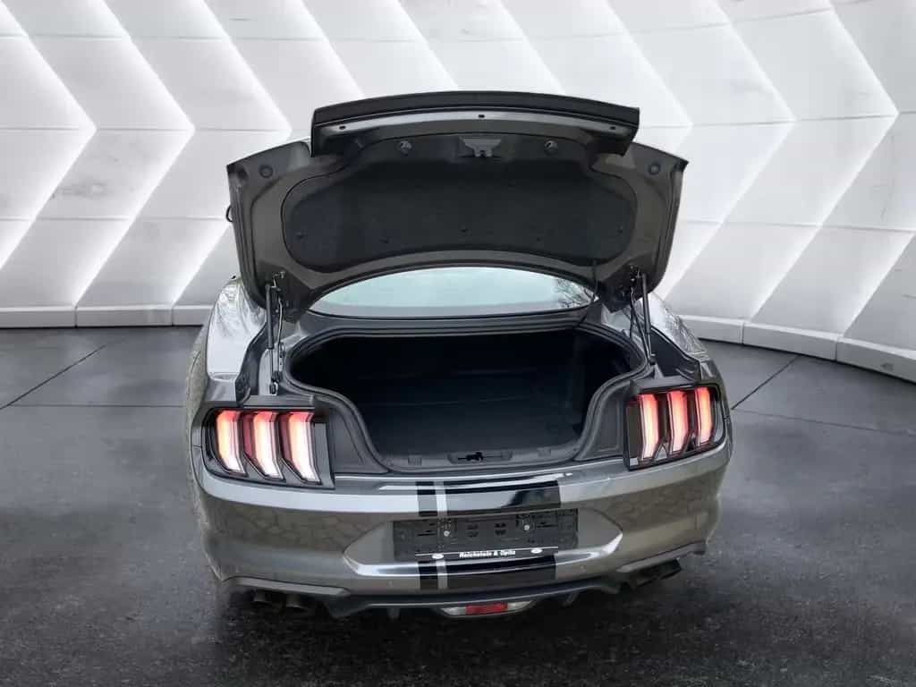 Ford Mustang GT 5.0 Navi RFK RDK Dig.Cockpit LED PDC 01/2022-photo-11