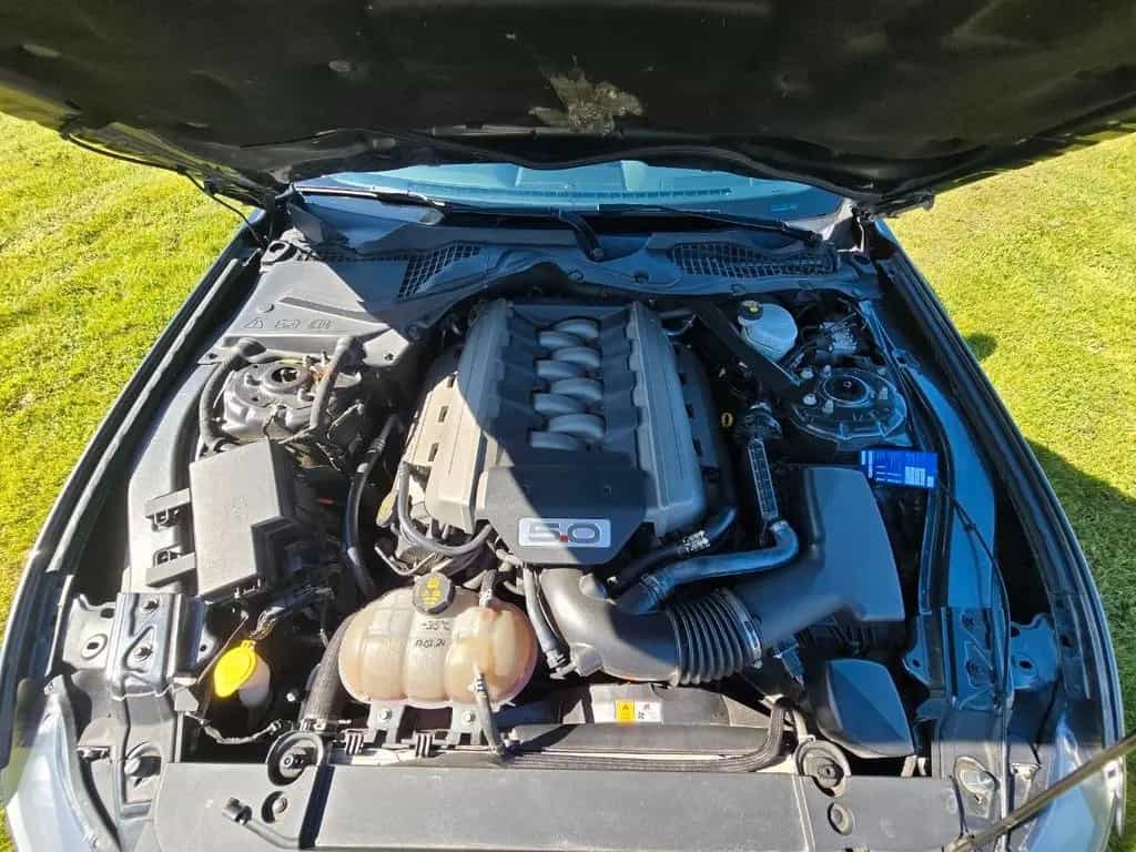 Ford Mustang 5.0 Ti-VCT V8 GT GT 06/2017-photo-3