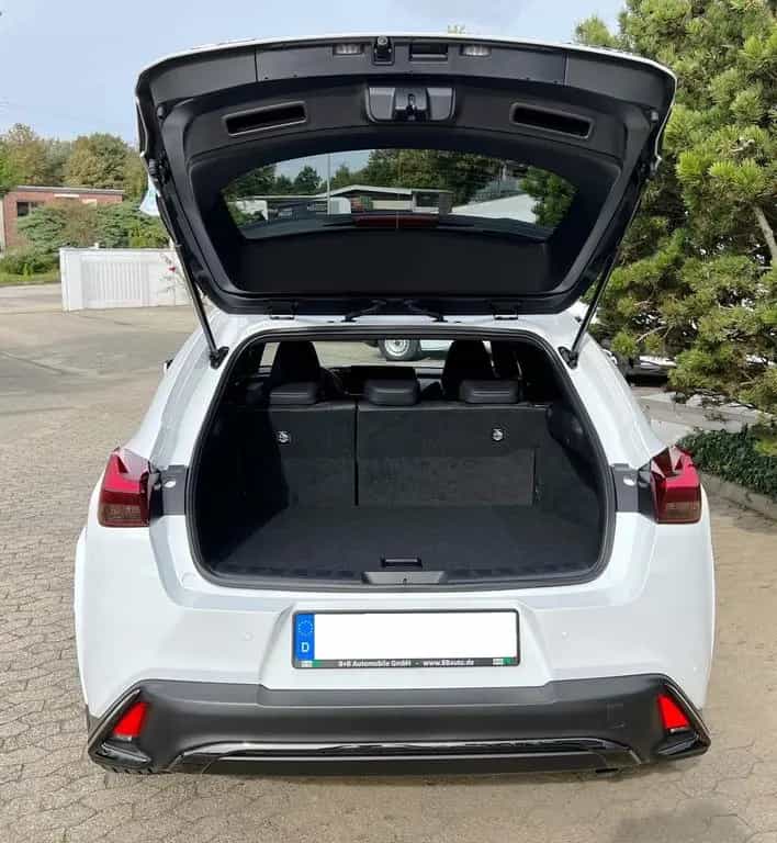 Lexus UX 250H F Sport Leder Kamera SHZ 09/2023-photo-5