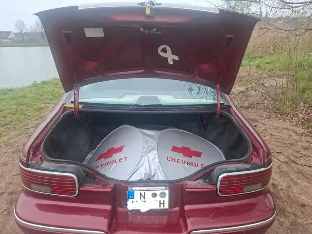 Chevrolet Caprice 03/1995-photo-5