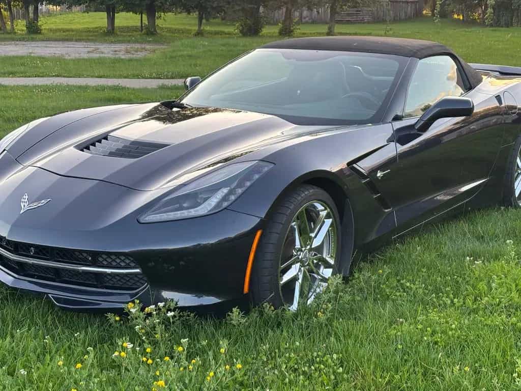 Corvette C7 6.2 V8 AT8 Stingray Cabrio 2LT Stingray 2LT 06/2015-photo-2