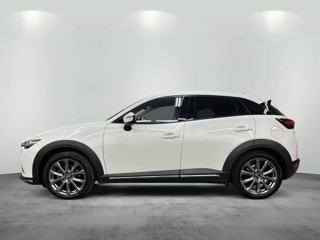 Mazda CX-3 2.0l "KANGEI" "TEC-P" "ACAA" AWD 06/2019-photo-1