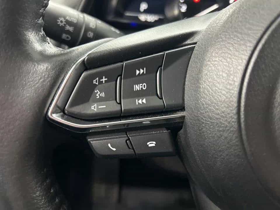 Mazda CX-3 2.0l "KANGEI" "TEC-P" "ACAA" AWD 06/2019-photo-23