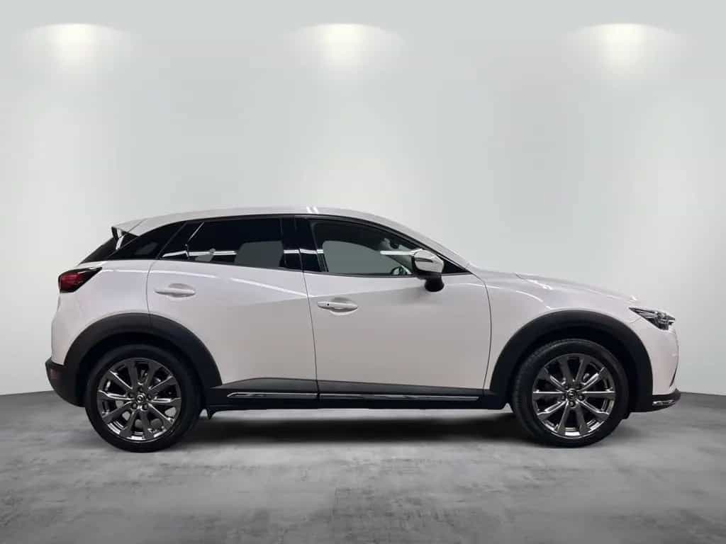 Mazda CX-3 2.0l "KANGEI" "TEC-P" "ACAA" AWD 06/2019-photo-6