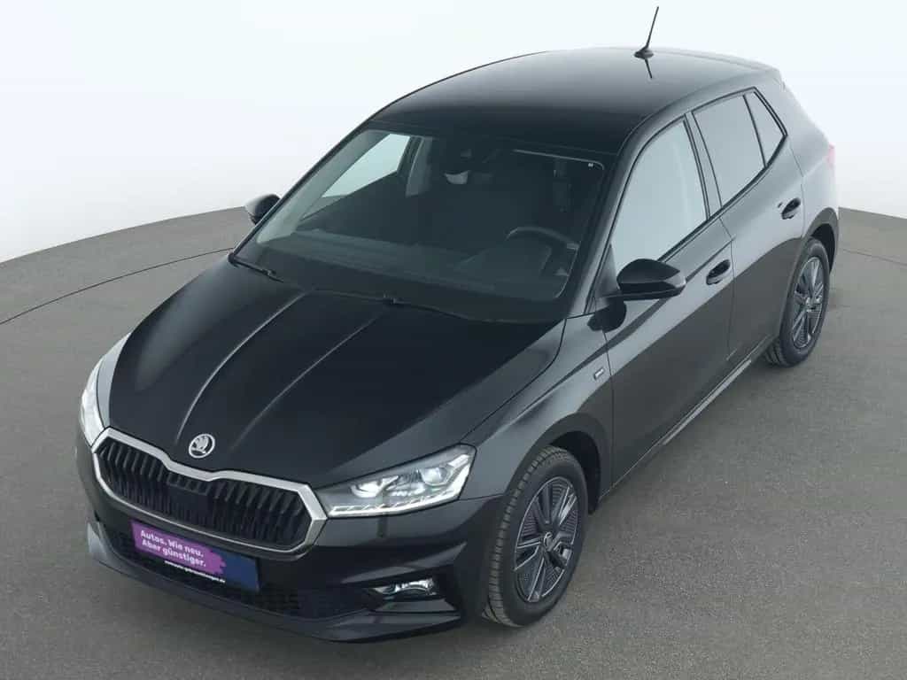 Skoda Fabia Drive Kamera|LED|Winter-Paket|SHZ|PDC|Kess 02/2025-photo-10