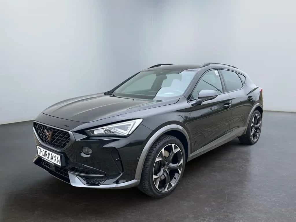 Cupra Formentor VZ 2.0 TSI DSG 360 Kamera Winterpaket 01/2023-photo-1