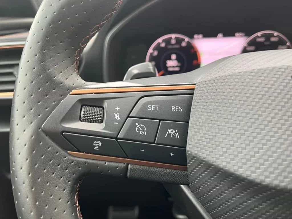 Cupra Formentor VZ 2.0 TSI DSG 360 Kamera Winterpaket 01/2023-photo-19
