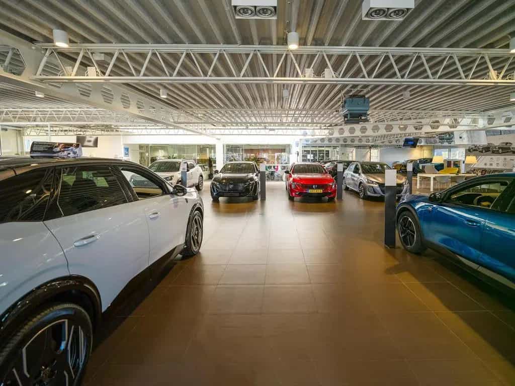 Citroën C4 Cactus 1.2 PureTech Business 06/2019-photo-38