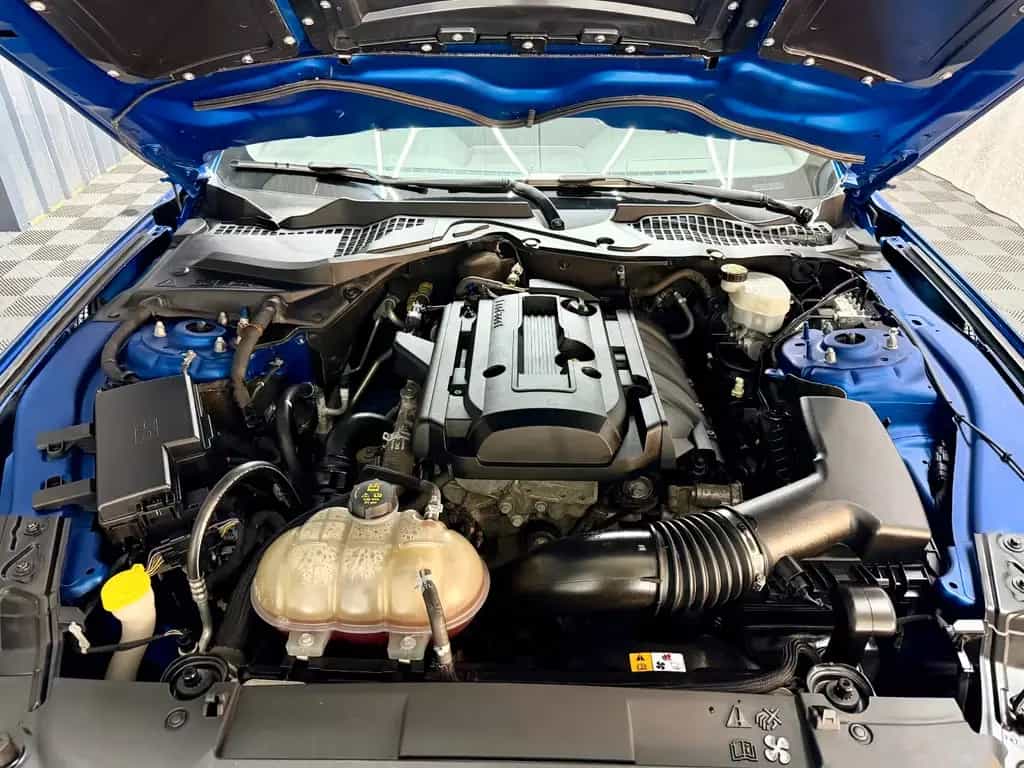 Ford Mustang 2.3 GT 500 Shelby look 12/2017-photo-21