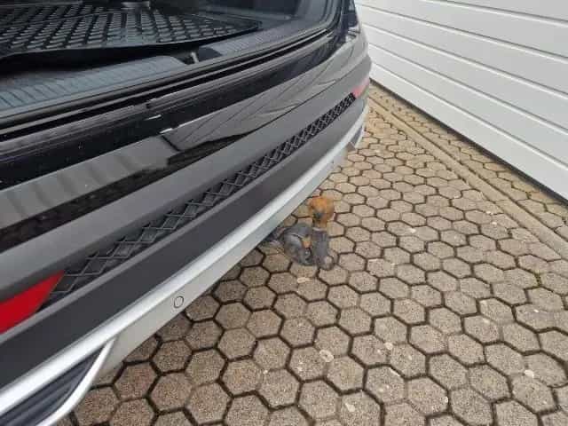 Seat Tarraco 2.0TSI*Xcellence*4-Drive*AHK*ACC*LED*DAB 10/2019-photo-30