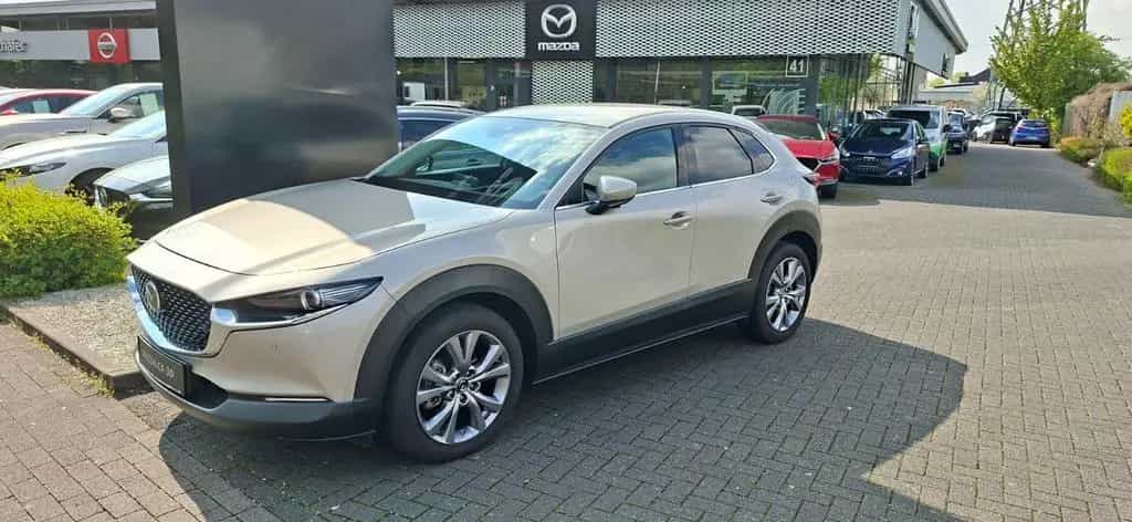 Mazda CX-30 Selection Navi Bose 360 Kamera LED 08/2023-photo-0