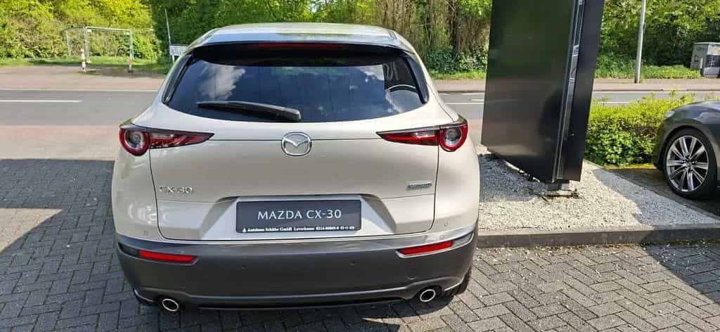 Mazda CX-30 Selection Navi Bose 360 Kamera LED 08/2023-photo-3