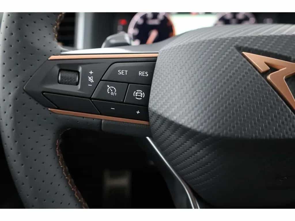Cupra Ateca 1.5 TSI null-photo-12