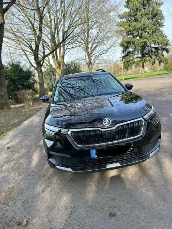 Skoda Kamiq 01/2020-photo-0