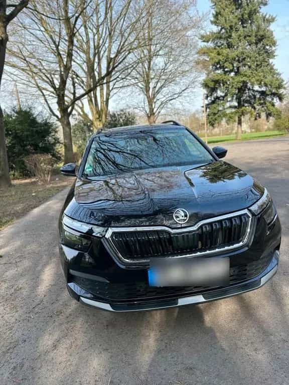 Skoda Kamiq 01/2020-photo-1