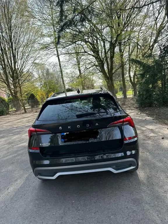 Skoda Kamiq 01/2020-photo-5