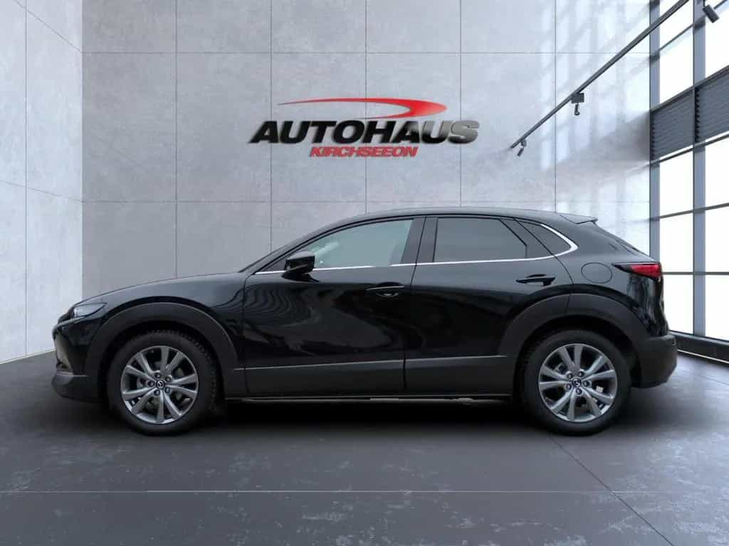 Mazda CX-30 2.5 e-SKYACTIV-G Exclusive-Line 2WD Navi 04/2025-photo-6
