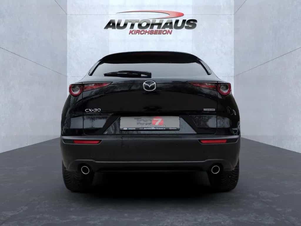Mazda CX-30 2.5 e-SKYACTIV-G Exclusive-Line 2WD Navi 04/2025-photo-7