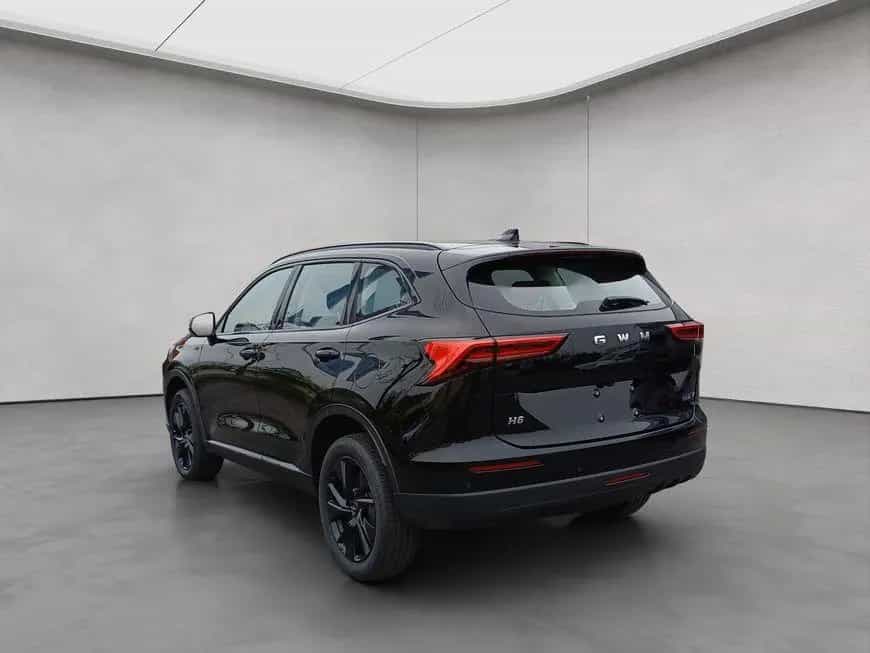 GWM Haval H6 Premium 110 kW, 5-türig null-photo-2