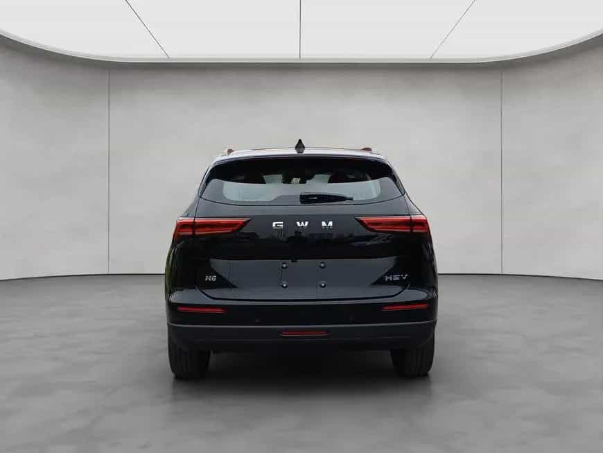 GWM Haval H6 Premium 110 kW, 5-türig null-photo-3