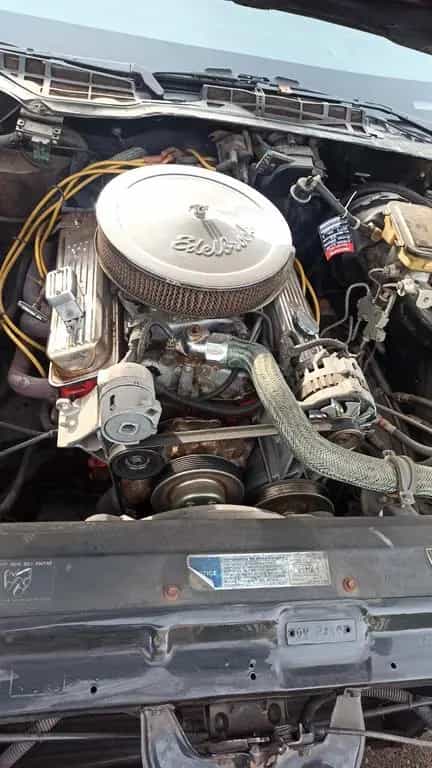 Chevrolet Camaro 5.0 V8 04/1991-photo-8
