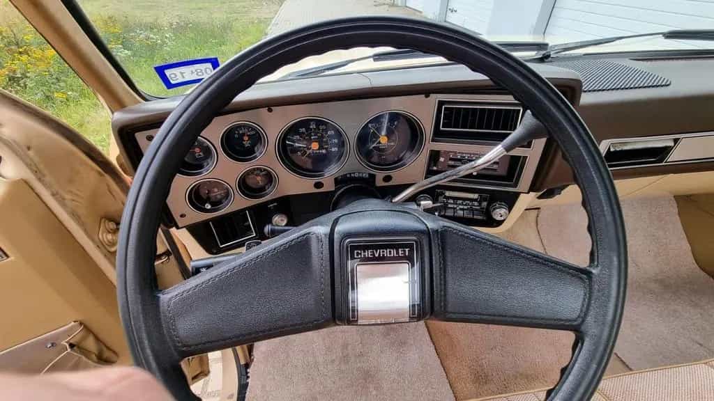 Chevrolet C10 Silverado 305 - 5.0L V8 Long... 01/1986-photo-7