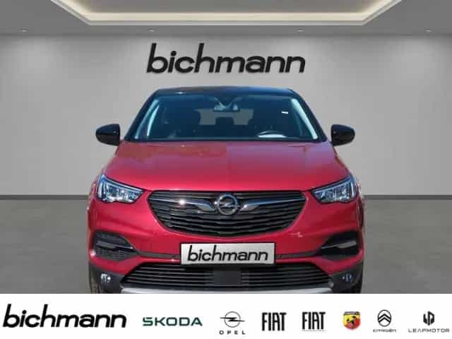Opel Grandland 120 Jahre AT8 RFK PDCvh AHK 18'' 01/2020-photo-1